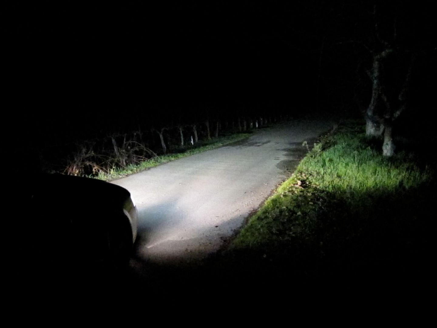 question about ddm tuning HID kits?